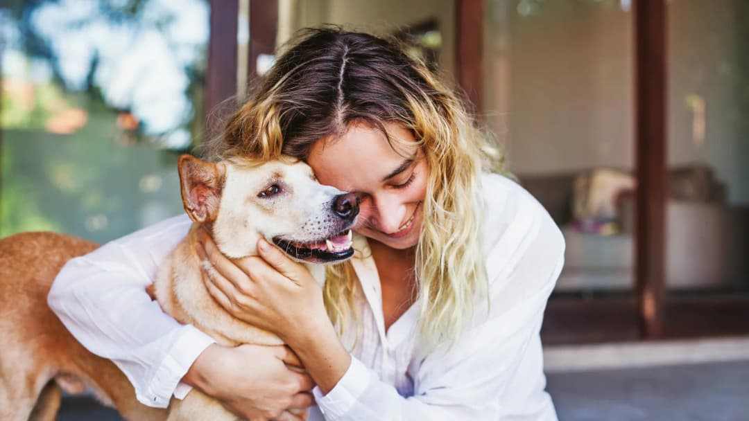 Breed Lifespan Calculator